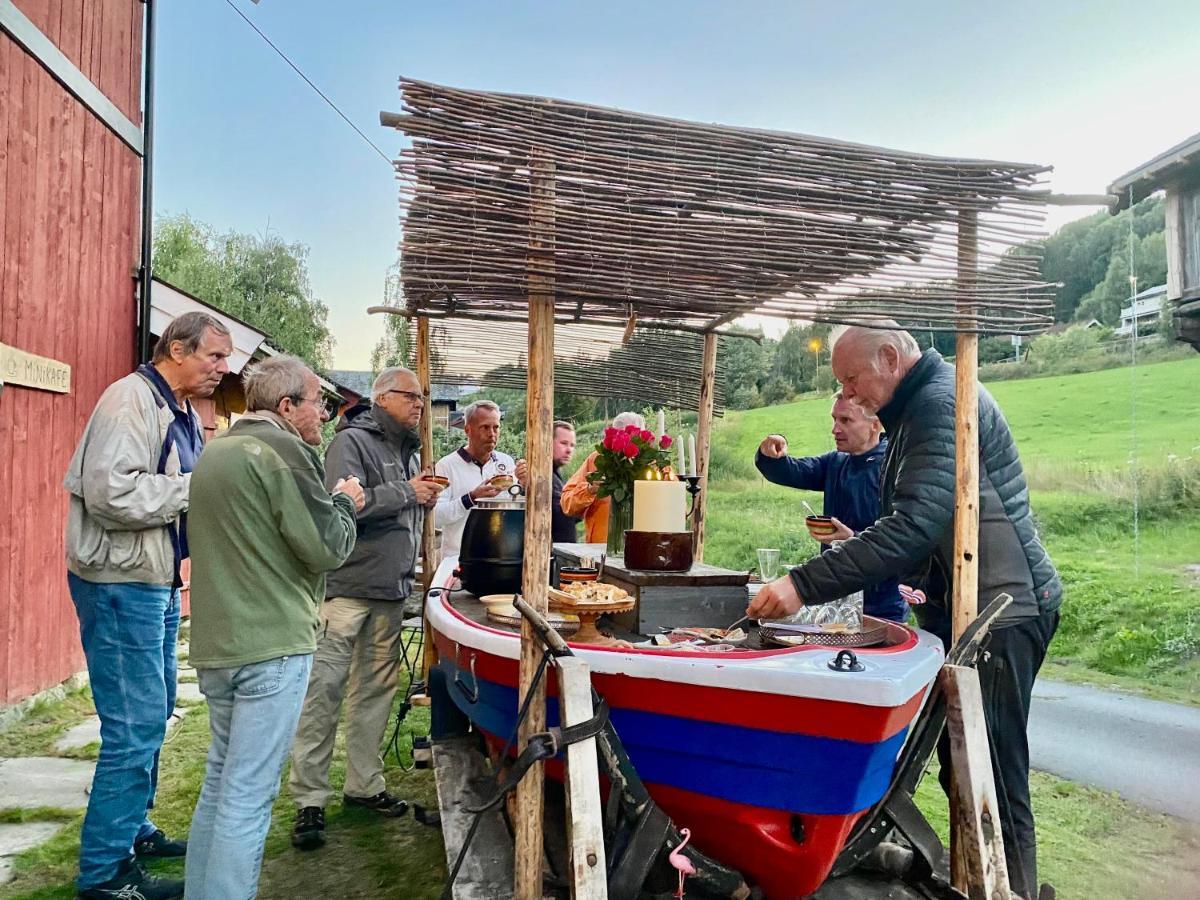 Hesla Farm Διαμέρισμα Gol Εξωτερικό φωτογραφία
